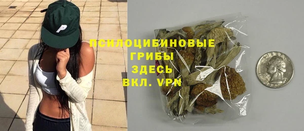 бошки Верхний Тагил