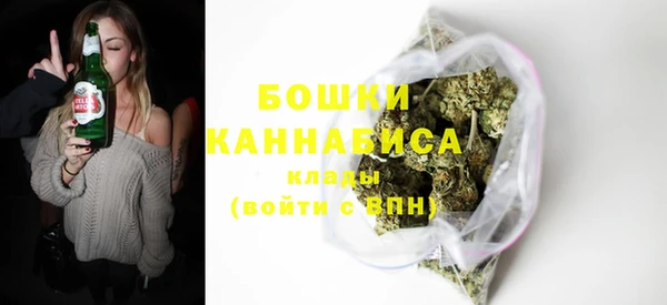 бошки Бронницы