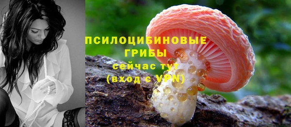 каннабис Верея