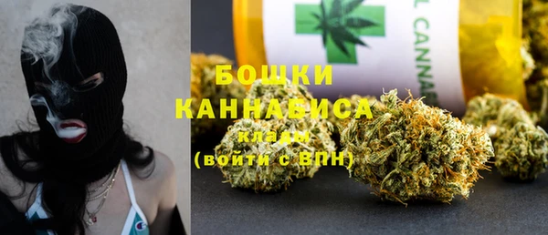 бошки Бронницы