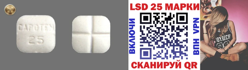 LSD-25 экстази кислота Оса