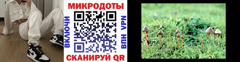 Галлюциногенные грибы Cubensis  мориарти формула  Оса  MEGA вход 