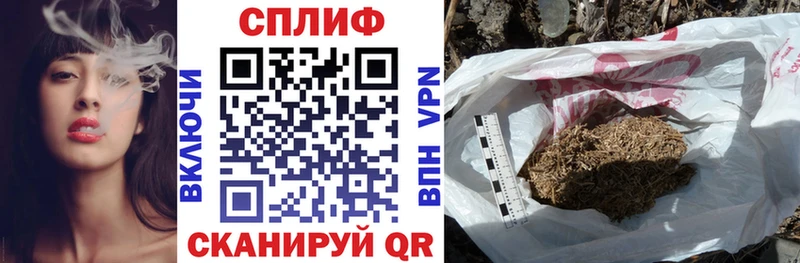 Конопля сатива  цена наркотик  Оса 